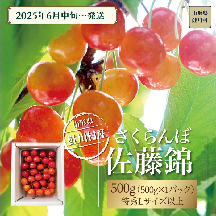 【ふるさと納税】【令和7年産 早期受付】 鮭川村産さくらんぼ ＜佐藤錦＞ 特秀Lサイズ以上バラ詰め 500gのサムネイル