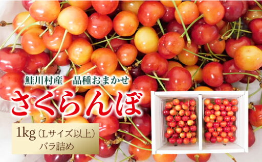 【ふるさと納税】【令和7年産 早期受付】 鮭川村産さくらんぼ <品種おまかせ> Lサイズ以上バラ詰め 1kg 【ふるさと納税】【令和7年産 早期受付】 鮭川村産さくらんぼ <品種おまかせ> Lサイズ以上バラ詰め 1kg