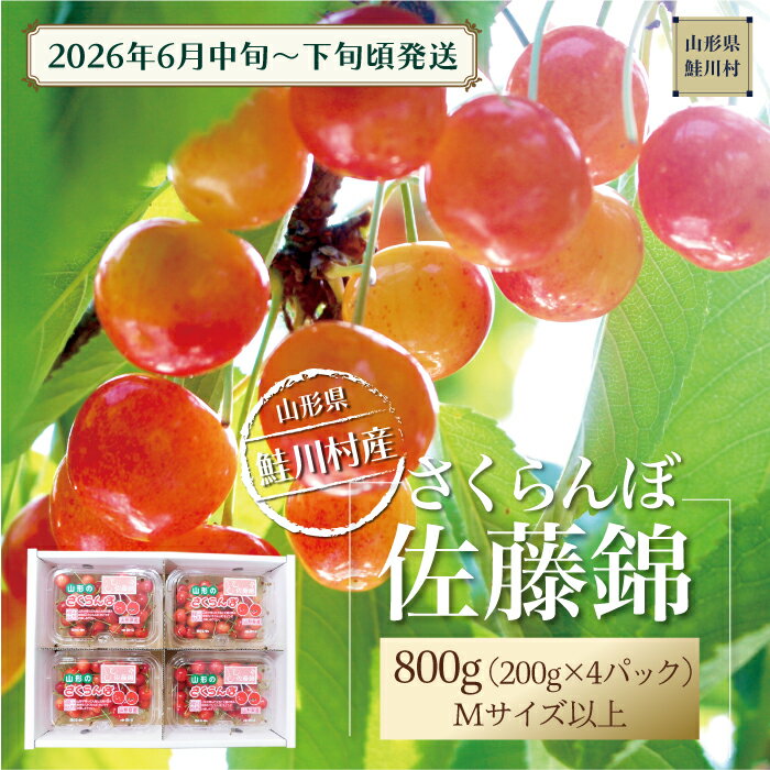 7位! 口コミ数「0件」評価「0」【令和8年産 早期受付】 鮭川村産さくらんぼ ＜佐藤錦＞ M～Lサイズ混合 フードパック800g（200g×4P）