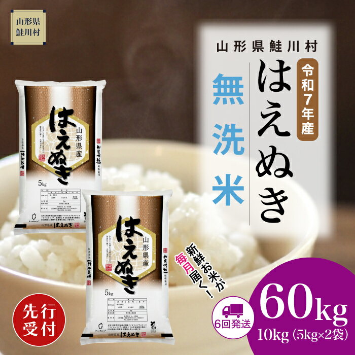 【ふるさと納税】鮭川村はえぬき60...