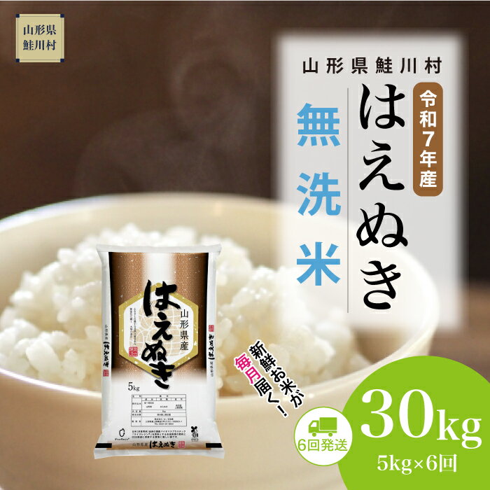 【ふるさと納税】鮭川村はえぬき30...