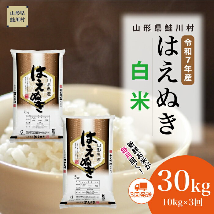 [令和7年産米] 鮭川村 はえぬき [白米]30kg定期便 (10kg×3回)[配送時期選べます]