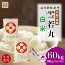 【ふるさと納税】<令和7年産米先行受付> 鮭川村 雪若丸 【白米】 定期便 60kg (10kg×1ヶ月間隔で6回お届け)<配送時期選べます>