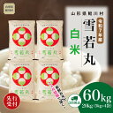 【ふるさと納税】<令和7年産米先行受付> 鮭川村 雪若丸 【白米】 定期便 60kg (20kg×2ヶ月間隔で3回お届け)<配送時期選べます>