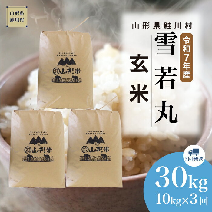 [令和7年産米] 鮭川村 雪若丸 [玄米] 30kg定期便 (10kg×3回発送)[配送時期選べます]