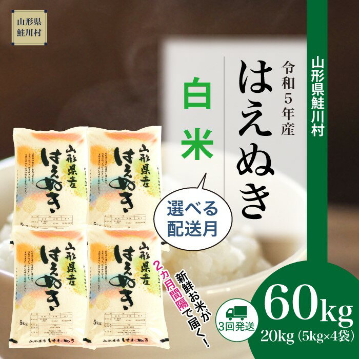 【ふるさと納税】 ＜令和5年産＞ 鮭川村 はえぬき 【白米】 定期便 60kg （20kg×2ヶ月間隔で3回お届け） ＜配送時期選べます＞