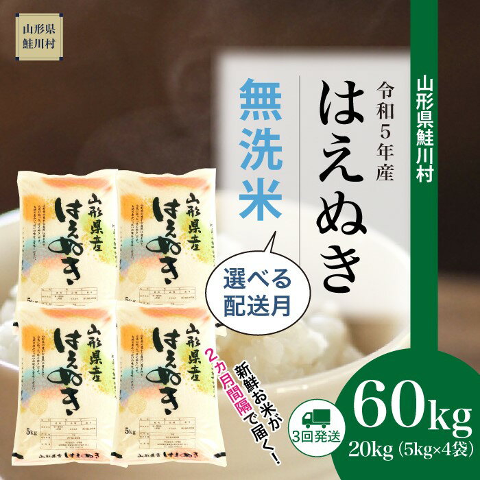 【ふるさと納税】 ＜令和5年産＞ 鮭川村 はえぬき 【無洗米】 定期便 60kg （20kg×2ヶ月間隔で3回お届...