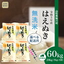 【ふるさと納税】 ＜令和5年産＞ 鮭川村 はえぬき 【無洗米