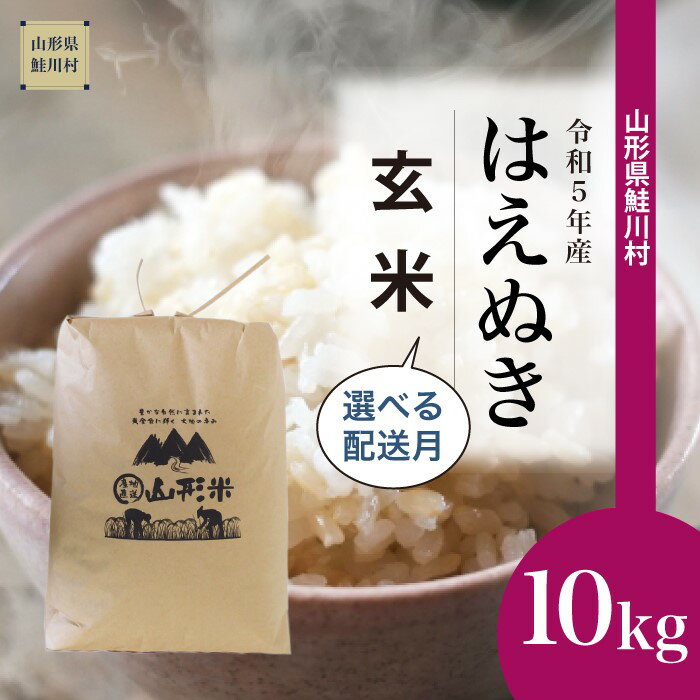 【ふるさと納税】 ＜令和5年産＞ 鮭川村 はえぬき 【玄米】 10kg （10kg×1袋）＜配送時期選べます＞