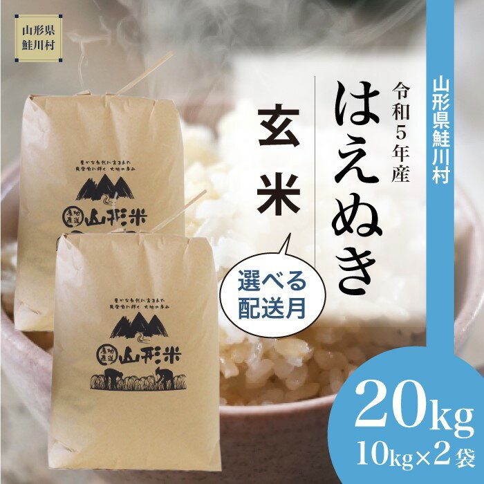 【ふるさと納税】＜令和5年産＞ 鮭川村 はえぬき 【玄米】 20kg （10kg×2袋）＜配送時期選べます＞