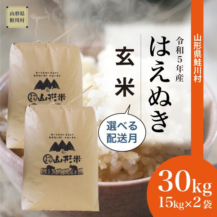 【ふるさと納税】 ＜令和5年産＞ 鮭川村 はえぬき 【玄米】 30kg （15kg×2袋）＜配送時期選べます＞