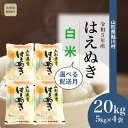 5位! 口コミ数「0件」評価「0」 ＜令和5年産＞ 鮭川村 はえぬき 【白米】 20kg （5kg×4袋）＜配送時期選べます＞