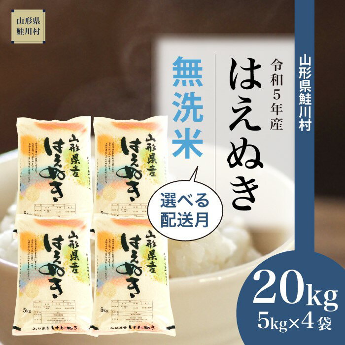 【ふるさと納税】 ＜令和5年産＞ 鮭川村 はえぬき 【無洗米】 20kg （5kg×4袋）＜配送時期選べます＞