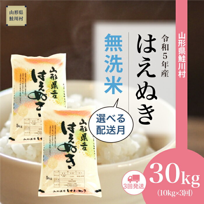 【ふるさと納税】 ＜令和5年産＞ 鮭川村 はえぬき 【無洗米】 定期便 30kg （10kg×1ヶ月間隔で3回お届...