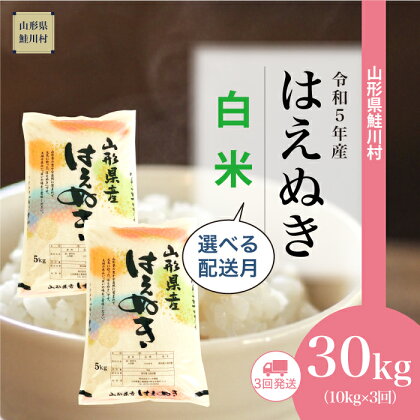 ＜令和5年産＞ 鮭川村 はえぬき 【白米】 定期便 30kg （10kg×1ヶ月間隔で3回お届け） ＜配送時期選べます＞