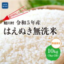 【ふるさと納税】鮭川村にエールを 令和5年産 はえぬき【無洗米】10kg 5kg 2袋 