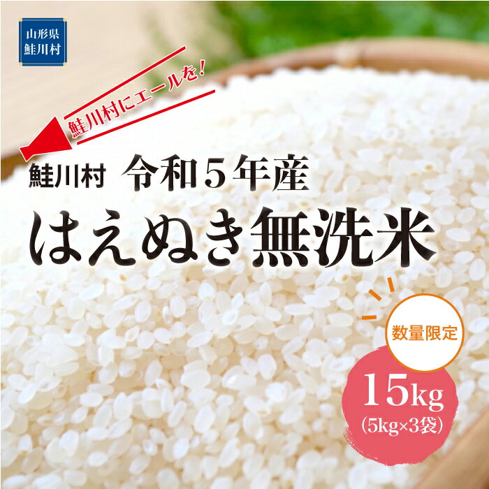 【ふるさと納税】鮭川村にエールを！　令和5年産　はえぬき【無洗米】15kg（5kg×3袋）