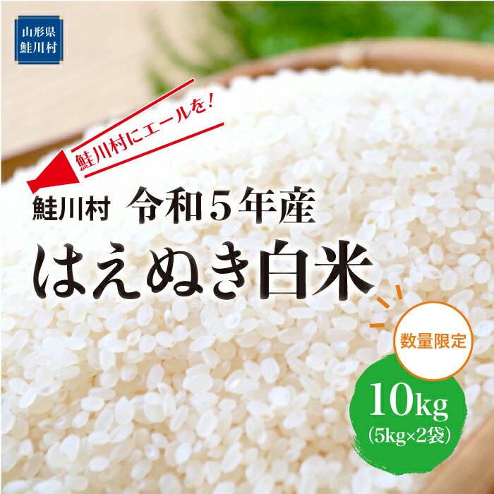 【ふるさと納税】鮭川村にエールを！　令和5年産　はえぬき【白米】10kg（5kg×2袋）