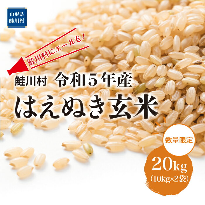 【ふるさと納税】鮭川村にエールを！　令和5年産　はえぬき【玄米】20kg（10kg×2袋）