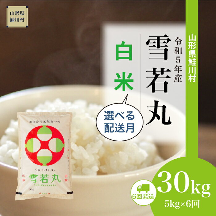 令和5年産> 鮭川村 雪若丸 【白米】30kg定期便 (5kg×6回発送)<配送