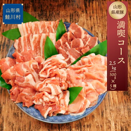 山形県産豚　満喫コース2.5kg！（500g×5種）