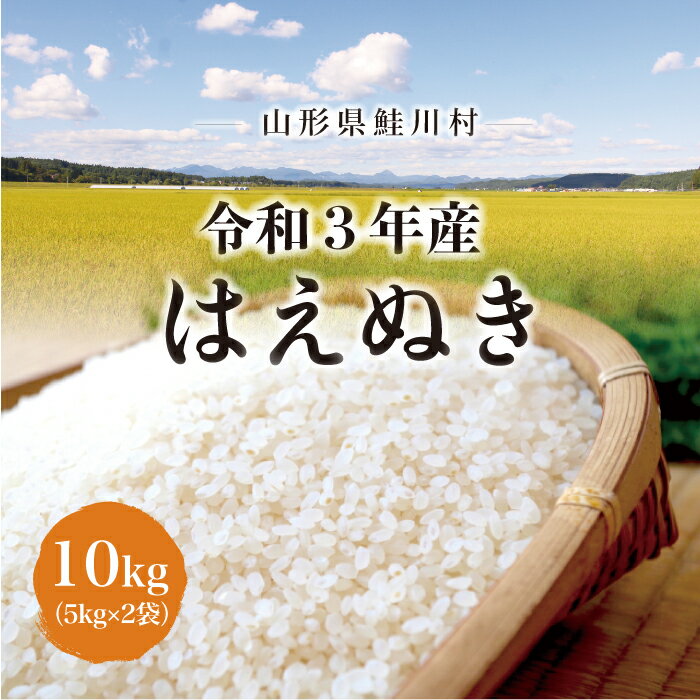 [令和3年産米] 鮭川村産 はえぬき10kg(5kg×2袋)