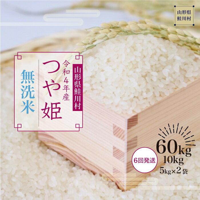 【ふるさと納税】 ＜配送時期が選べる！＞ 【早期受付分】 令和4年産 鮭川村 特別栽培米 つや姫 【無洗米】 定期便 60kg （10kg×6回お届け）