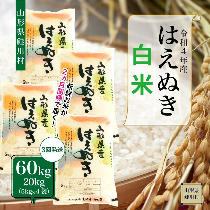 【ふるさと納税】<配送時期が選べる!>【早期受付分】令和4年産鮭川村はえぬき【白米】定期便60kg(20kg×3回お届け)