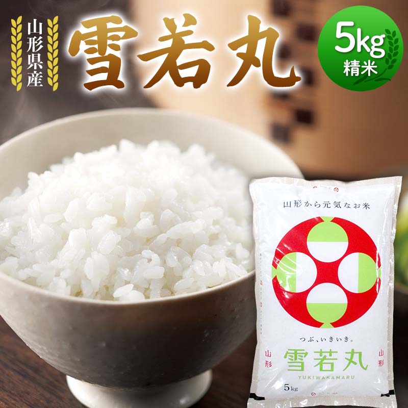 ڤդ뤵Ǽǡ 6ǯ   5kg      Ϥ ֥ 2024ǯ   £...