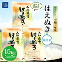 【ふるさと納税】令和5年産 山形県戸沢村 厳選 はえぬき 【
