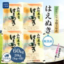 【ふるさと納税】 令和5年産 山形県戸沢村 厳選 はえぬき 