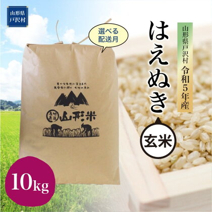 令和5年産 山形県戸沢村 厳選 はえぬき 【玄米】 10kg（10kg×1袋） ＜配送時期指定可＞