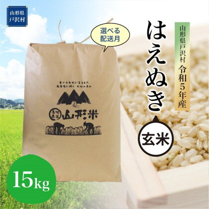 令和5年産 山形県戸沢村 厳選 はえぬき 【玄米】 15kg（15kg×1袋） ＜配送時期指定可＞