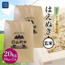 【ふるさと納税】令和5年産 山形県戸沢村 厳選 はえぬき 【