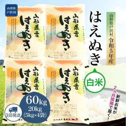 令和5年産 山形県戸沢村 厳選 はえぬき 【白米】 定期便 60kg（20kg×2か月間隔で3回お届け） ＜初回配送時期指定可＞