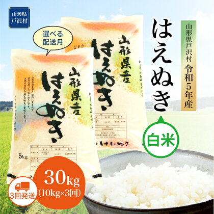 令和5年産 山形県戸沢村 厳選 はえぬき 【白米】 30kg 定期便（10kg×1カ月ごと3回お届け） ＜初回配送時期指定可＞