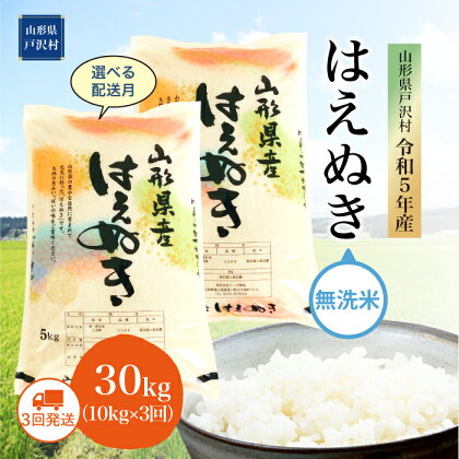 令和5年産 山形県戸沢村 厳選 はえぬき 【無洗米】 30kg 定期便（10kg×1カ月ごと3回お届け） ＜初回配送時期指定可＞