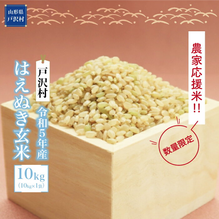 【ふるさと納税】農家応援米　令和5年産　はえぬき 【玄米】 10kg（10kg×1袋） ＜配送時期指定可＞