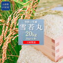 【ふるさと納税】新食感のお米!令和2年産 雪若丸20kg(5