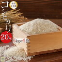 【ふるさと納税】令和2年産米 戸沢村産コシヒカリ20kg<5