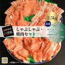【ふるさと納税】山形県産戸澤豚　しゃぶしゃぶ・焼肉セット　2.5kg　…冷凍…