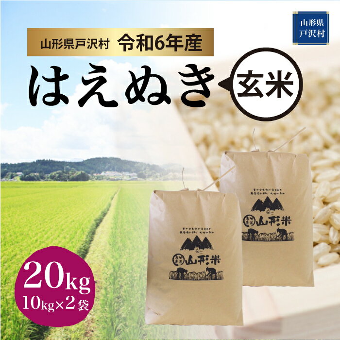 【ふるさと納税】＜令和6年産 先行受付＞　はえぬき【玄米】2