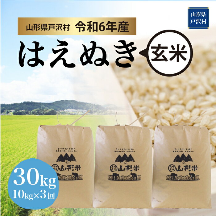 令和6年産米 はえぬき[玄米]30kg定期便(10kg×3回) 戸沢村[配送時期指定可]