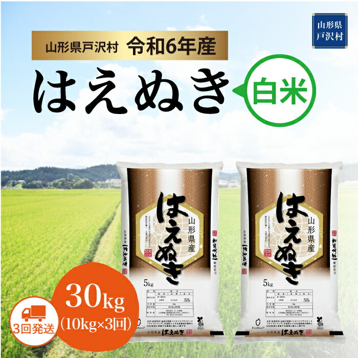 [令和6年産 先行受付] はえぬき[白米]30kg定期便(10kg×3回) 戸沢村[配送時期指定可]