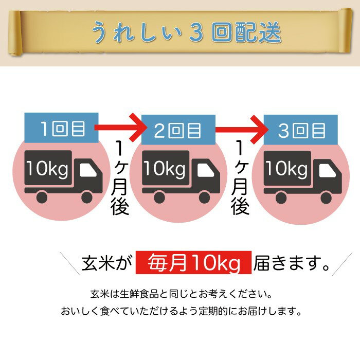 【ふるさと納税】令和5年産 山形県戸沢村 厳選 はえぬき 【玄米】 30kg 定期便（10kg×1カ月ごと3回お届け） ＜配送時期指定可＞