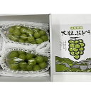 商品画像2