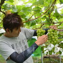 山形県高畠町の画像2