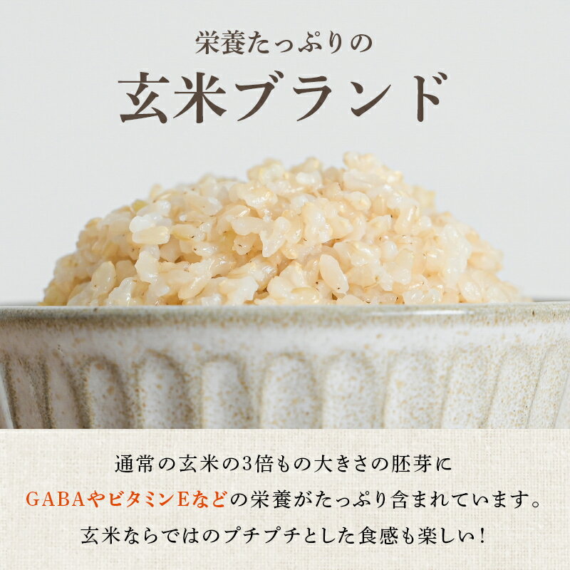 コンクールで〜賞受賞の農家が育てた自慢のお米！　【ふるさと納税】 【定期便 も選べる】令和7年産 米 金のいぶき 玄米 コンクール金賞受賞生産者 5kg 10kg 3回 定期 | | ふるさと納税 米 玄米 精米 高級 お米 コメ こめ kome ご飯 ごはん 米 ブランド米 山形 高畠町 2024 2025 ふるさと 人気 送料無料 F21B-140var