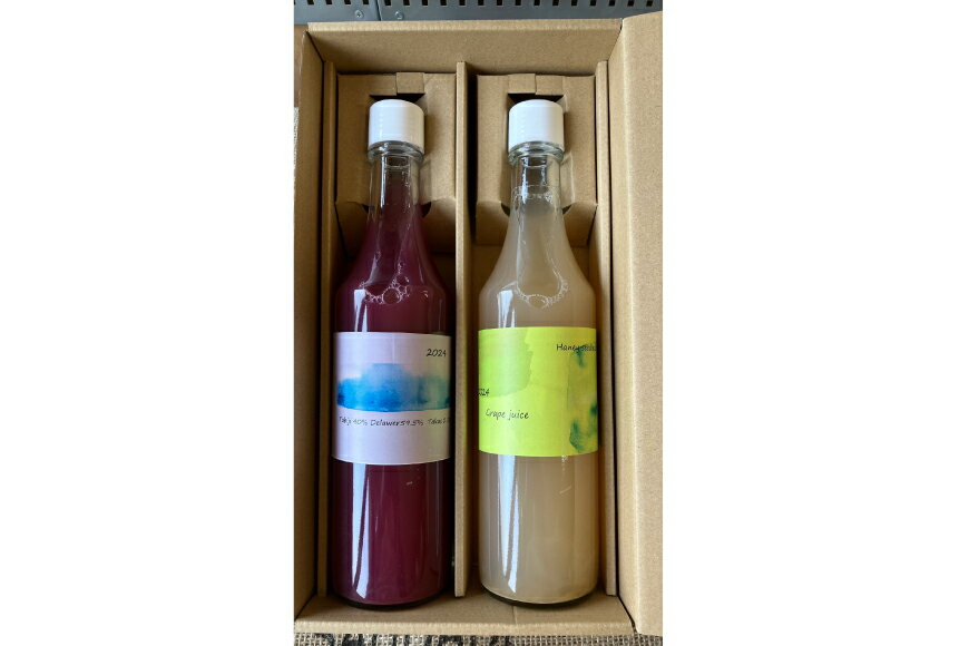 【ふるさと納税】ぶどう ジュース 2種 （赤・白） 各600ml [大野農園 Rapporti 山形県 高畠町 tk06ayt050006] セット 2本 フルーツジュース 葡萄 ブドウ グレープ グレープジュース 飲み比べ 無添加