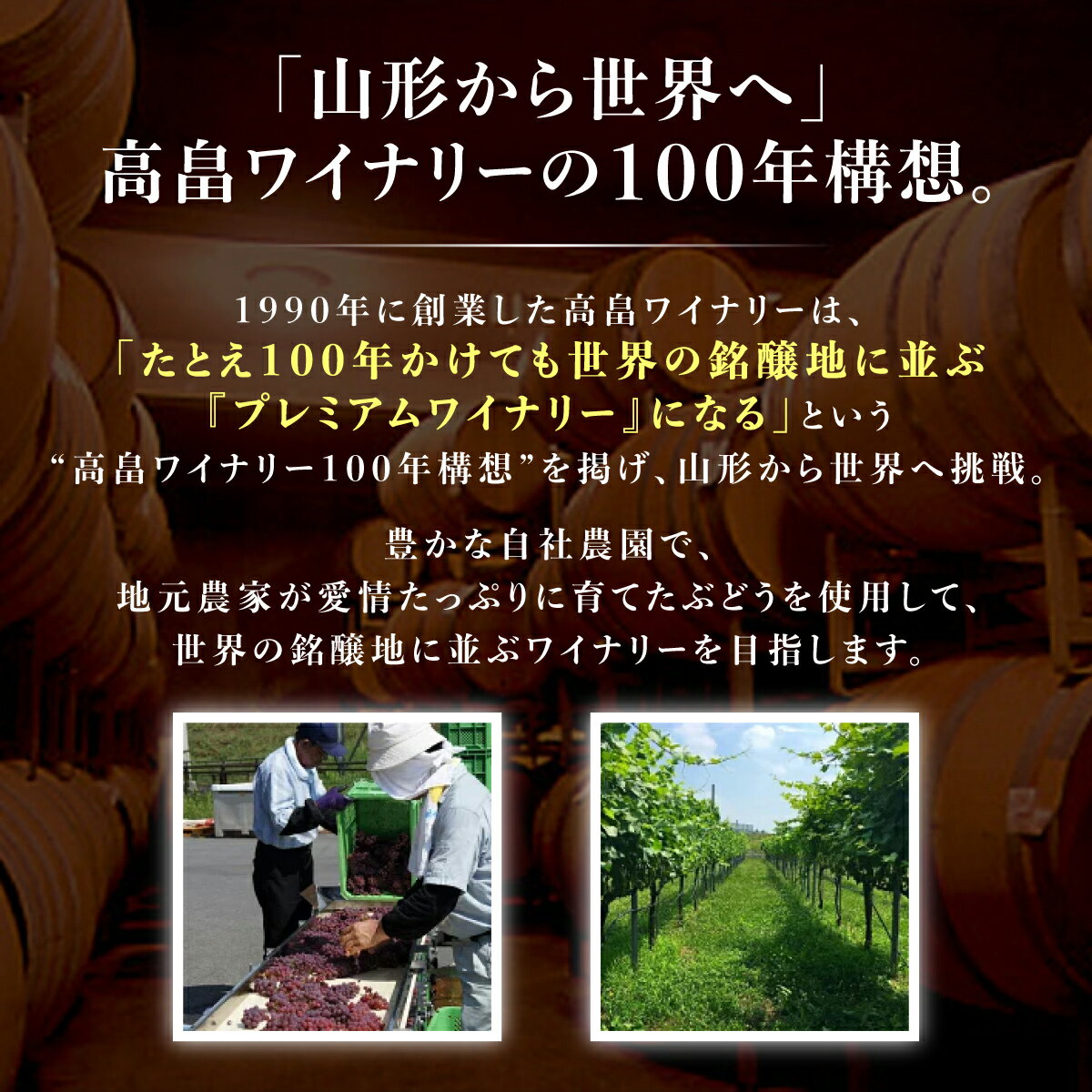 【ふるさと納税】ワイン 高畠シャルドネ 飲み比べ 2本 3本 セット [tk06ays730009 山形県 高畠町 高畠ワイナリー] 高畠ワイナリー 白ワイン スパークリングワイン ワインセット 白 酒